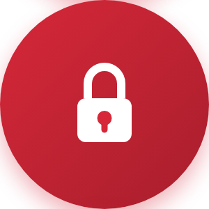 Encryption icon