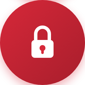 Encryption icon